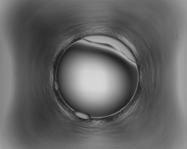 X0000116330493200912091042