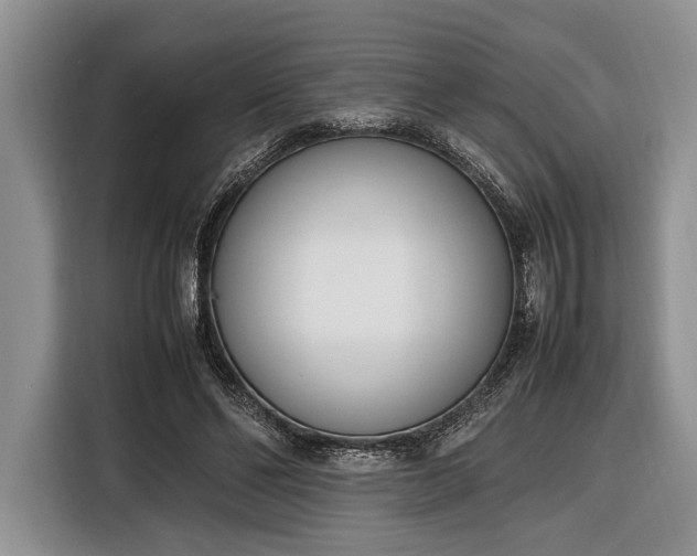 X0000116330494200912091042