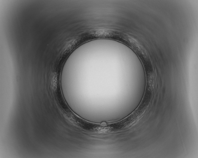 X0000116330495200912091042