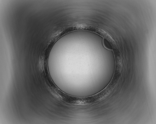 X0000116330496200912091042