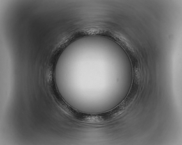 X0000116330499200912091042