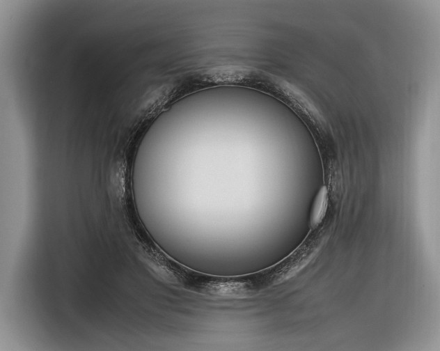 X0000116330501200912091042