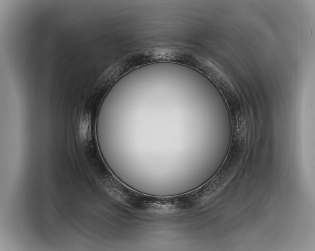 X0000116330502200912091042