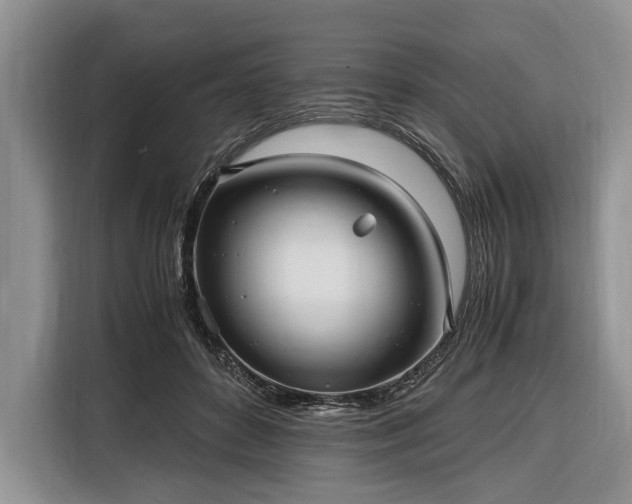 X0000116330504200912091042