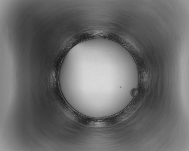 X0000116330506200912091042