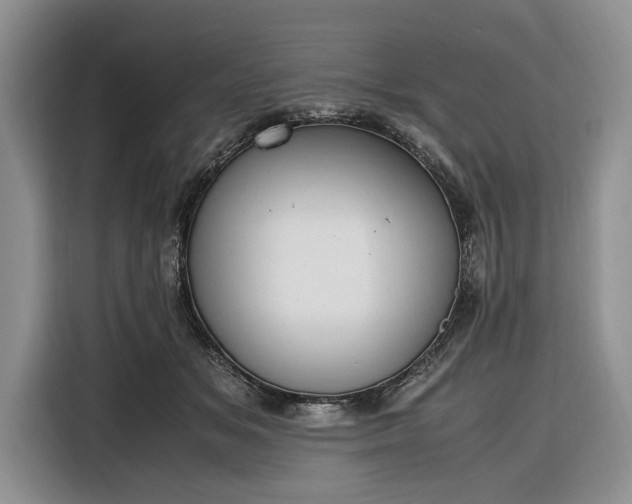 X0000116330509200912091042