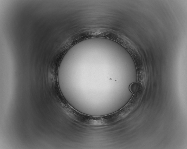 X0000116330510200912091042