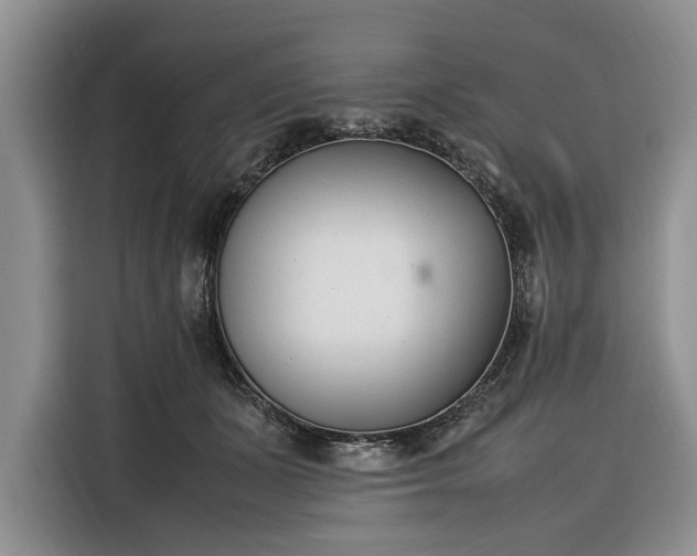 X0000116330511200912091042