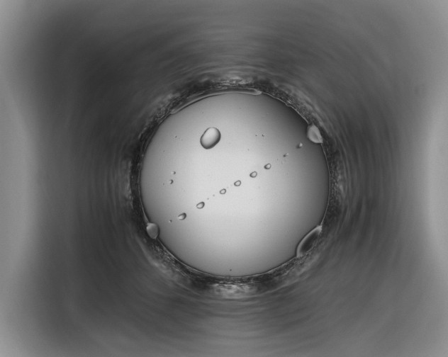 X0000116330512200912091042