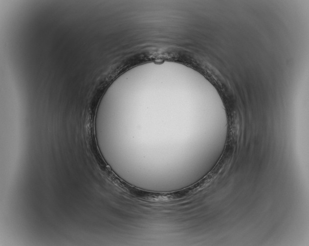 X0000116330513200912091042