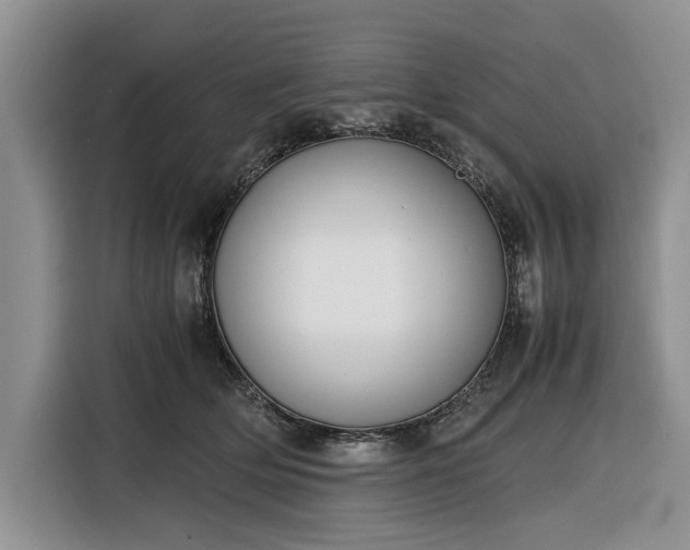 X0000116330514200912091042
