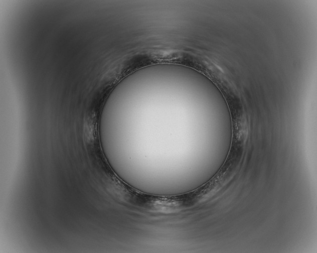 X0000116330515200912091042