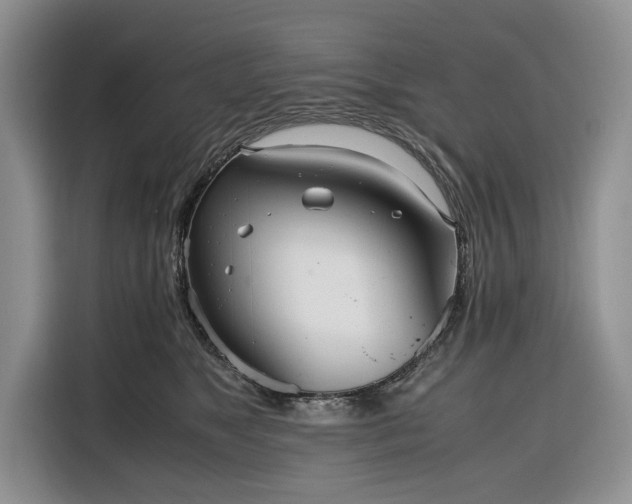 X0000116330517200912091042