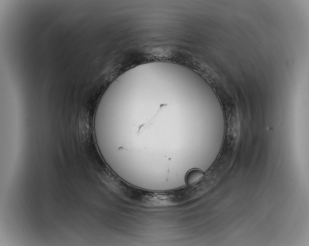 X0000116330518200912091042