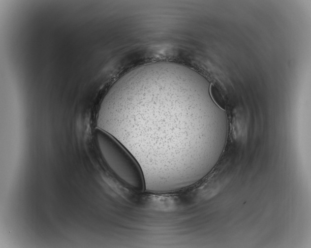 X0000116330520200912091042