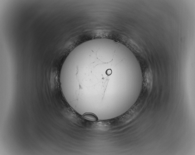 X0000116330522200912091042