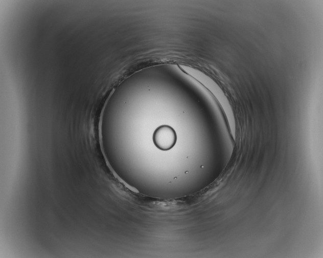 X0000116330524200912091042