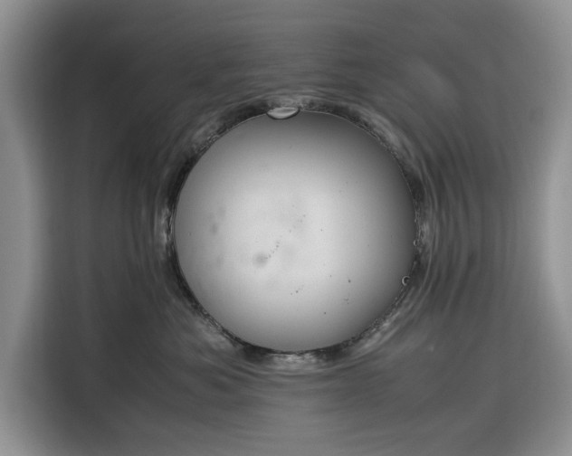 X0000116330525200912091042