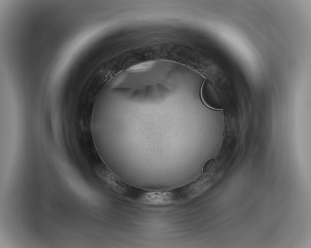 X0000116330526200912091042