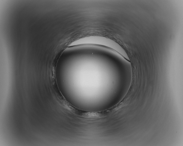 X0000116330528200912091042