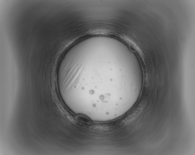 X0000116330529200912091041