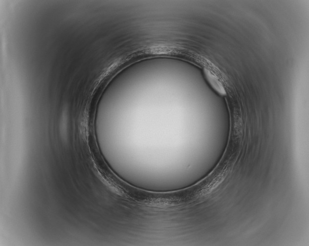 X0000116330530200912091041
