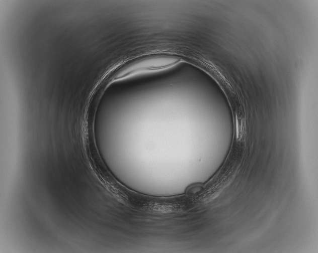 X0000116330531200912091041