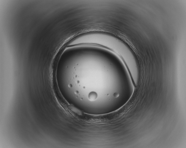 X0000116330534200912091041