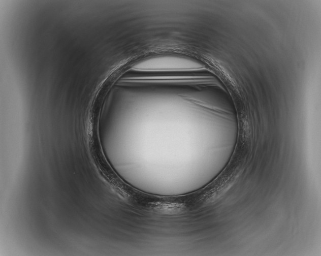 X0000116330539200912091041