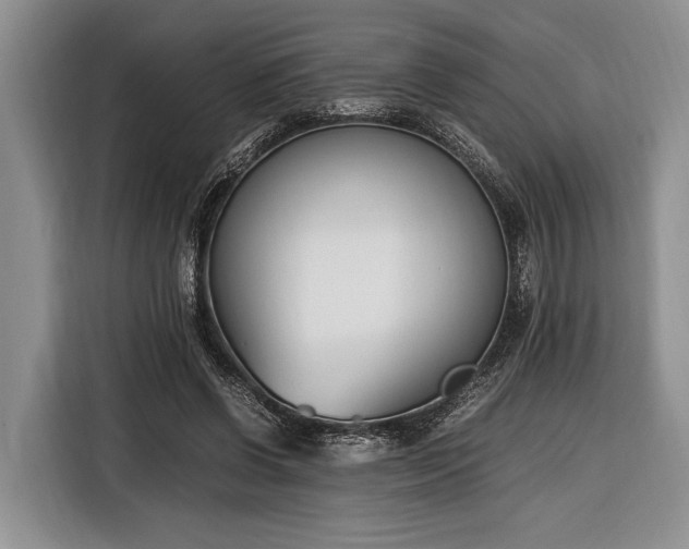 X0000116330542200912091041