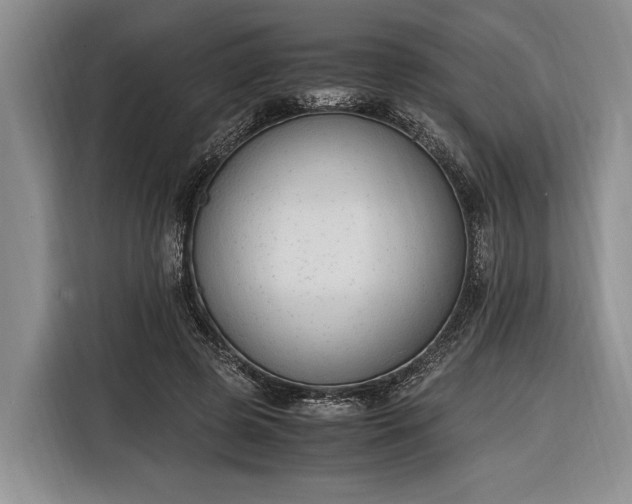 X0000116330545200912091041