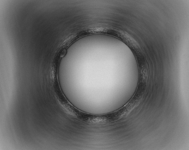 X0000116330546200912091041