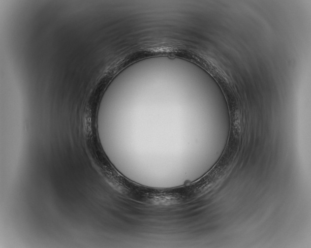 X0000116330547200912091041