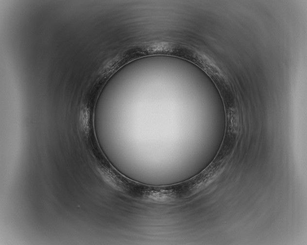 X0000116330550200912091041