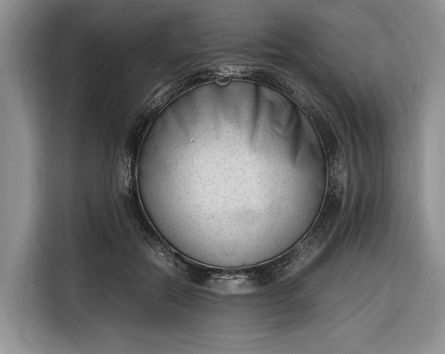 X0000116330554200912091041