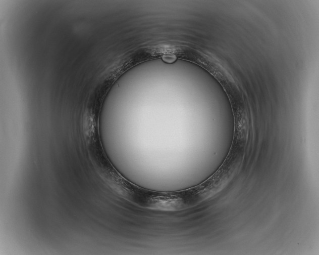 X0000116330555200912091041