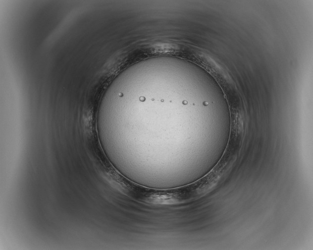 X0000116330557200912091041