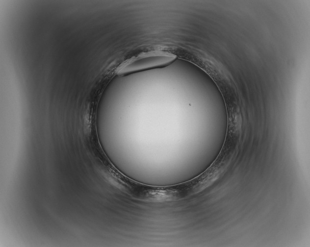 X0000116330558200912091041