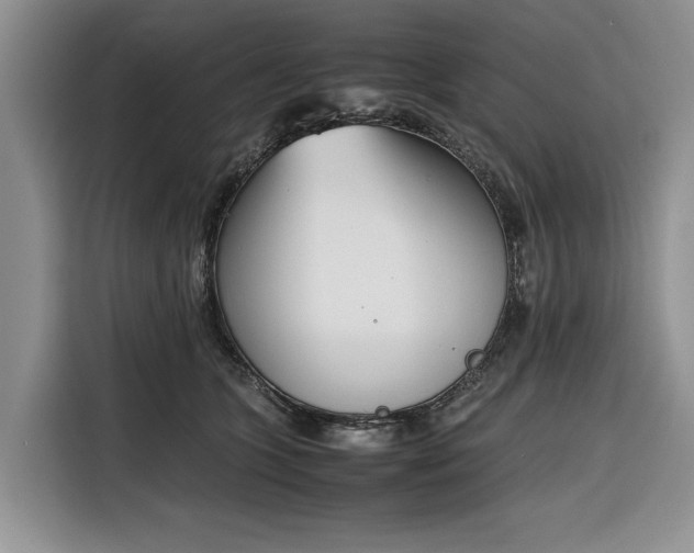 X0000116330563200912091041