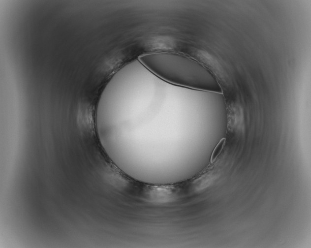 X0000116330573200912091041