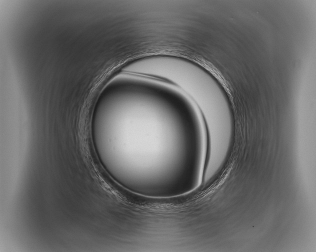 X0000116330577200912091041