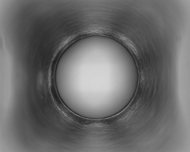 X0000116330578200912091041