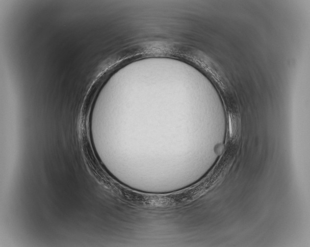 X0000116330579200912091041