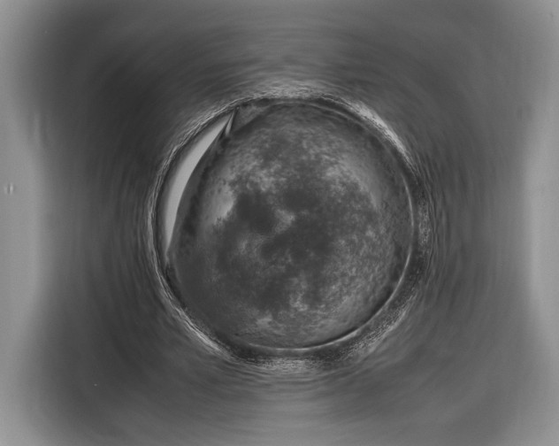 X0000116330581200912091041