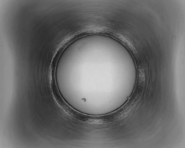X0000116330582200912091041