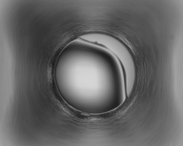 X0000116330585200912091041