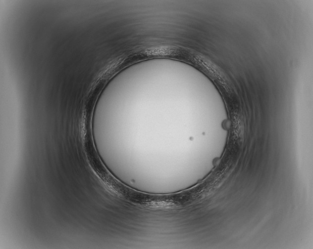 X0000116330586200912091041