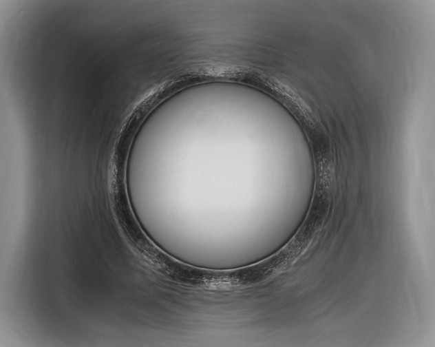 X0000116330587200912091041
