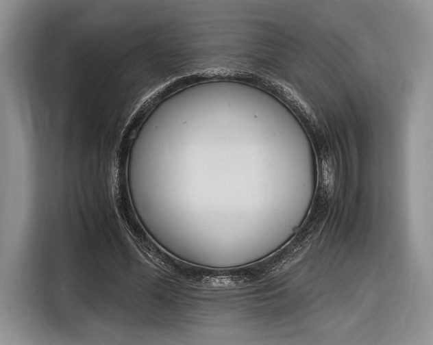 X0000116330588200912091041
