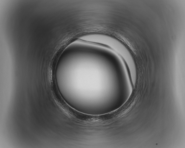 X0000116330589200912091041